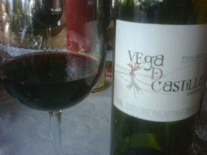Vega de Castilla